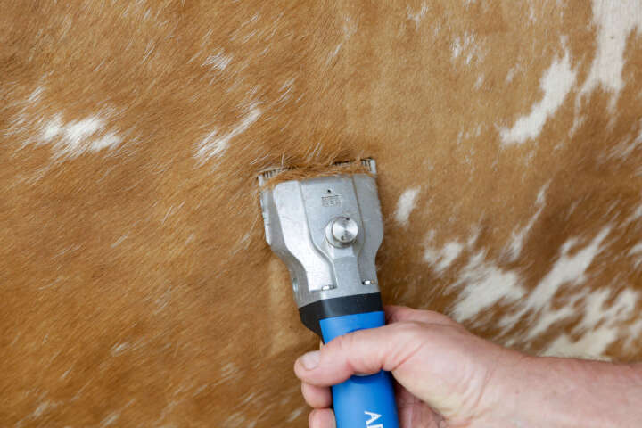 AESCULAP Akkuschermaschine Bonum Rind inkl. 1 Akku